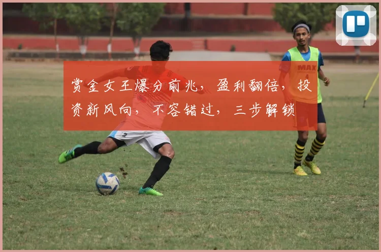 赏金女王爆分前兆，盈利翻倍，投资新风向，不容错过，三步解锁