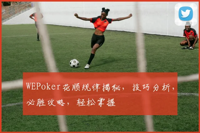 WEPoker花顺规律揭秘，技巧分析，必胜攻略，轻松掌握