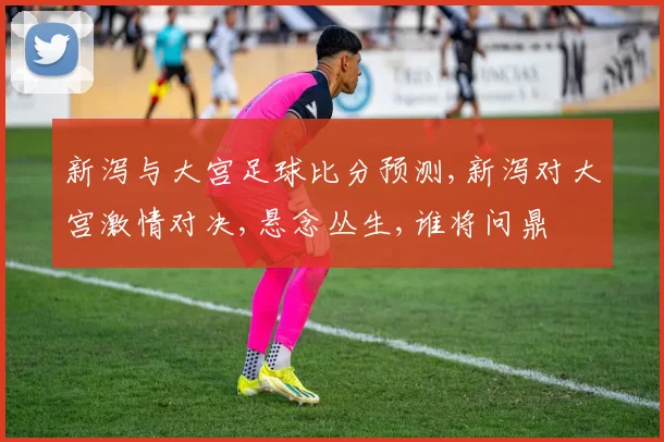 新泻与大宫足球比分预测,新泻对大宫激情对决,悬念丛生,谁将问鼎