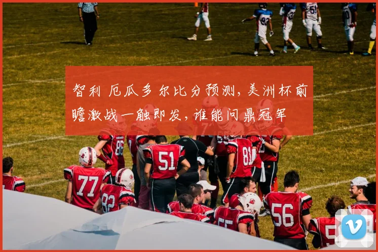 智利 厄瓜多尔比分预测,美洲杯前瞻激战一触即发,谁能问鼎冠军