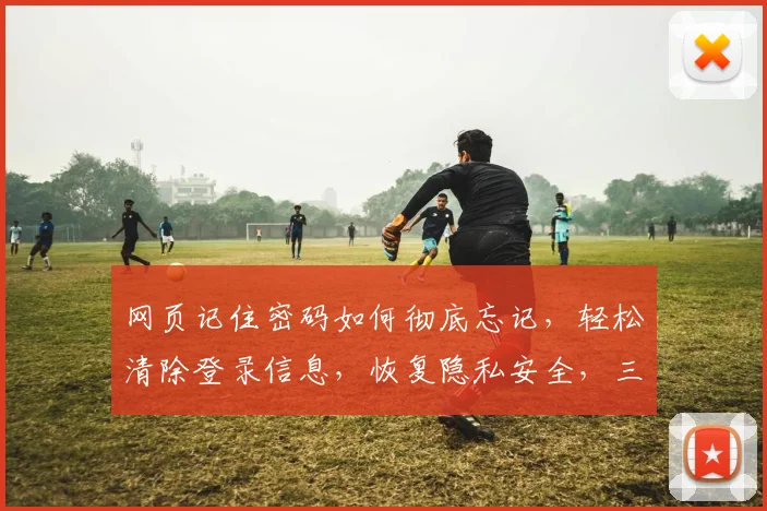 网页记住密码如何彻底忘记，轻松清除登录信息，恢复隐私安全，三步走攻略