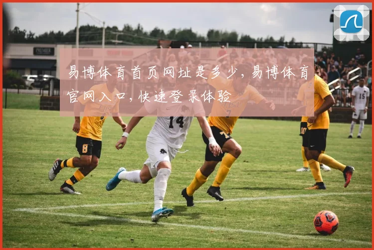 易博体育首页网址是多少,易博体育官网入口,快速登录体验