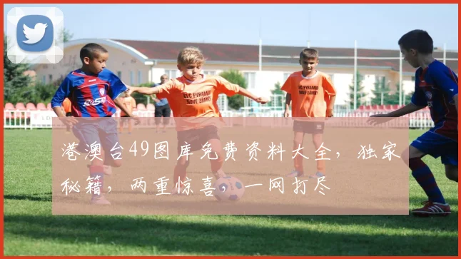 港澳台49图库免费资料大全，独家秘籍，两重惊喜，一网打尽