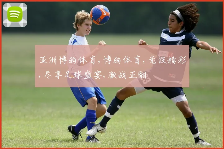 亚洲博狗体育,博狗体育,竞技精彩,尽享足球盛宴,激战正酣